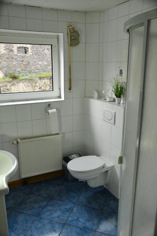 Ferienwohnung Auf Dem Pferdehof Schotten Buitenkant foto