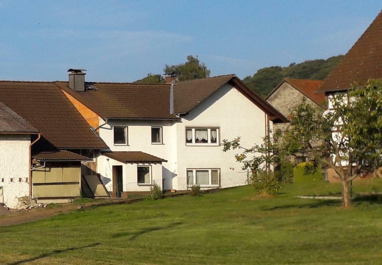 Ferienwohnung Auf Dem Pferdehof Schotten Buitenkant foto