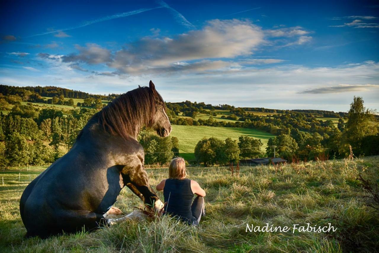 Ferienwohnung Auf Dem Pferdehof Schotten Buitenkant foto
